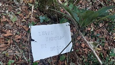PAROLA PER PAROLA (23)